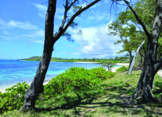 Une pépinière pour la côte sud !
