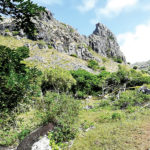 La Montagne Longue dans la vallee de St Francois