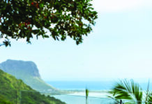 Le bon goût du terroir à Chamarel