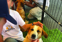 Attention : coup de cœur garanti !