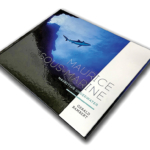 Mauritius-underwater-Livre