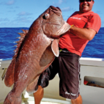 Mérou-brun-Rodriguesen-grande-profondeur-315m-Rod-Fishing-Club-Rodrigues-Maurice-Océan-Indien