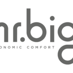 Mr.Big logo with tagline R-01