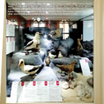 Musée1