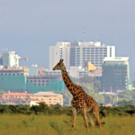 Nairobi 1