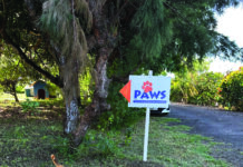 PAWS délocalise son refuge du nord