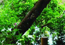 La Rivière, entre nature et gastronomie