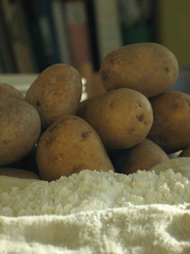 Les sacs à base d’amidon et de fécule de pomme de terre, entre autres, remplaceront les sacs plastiques.