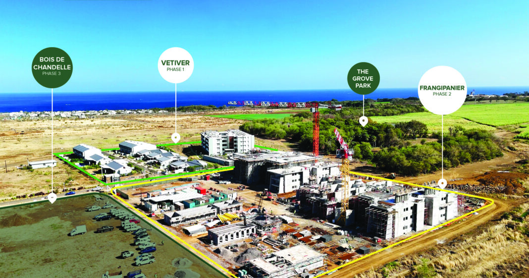 Property - The Grove-Community_Newsletter-Banner-Frangipanier_V3