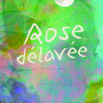 Rose délavée couv