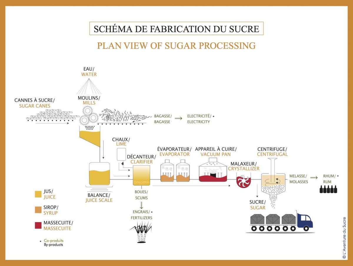 Schéma de fabrication du Sucre