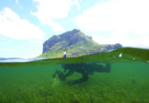 Et si on semait des herbes marines ?