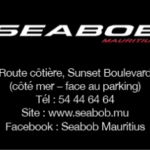 Seabob-300×235