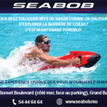 Seabob-web-336-x-280