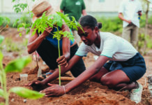 Cultivate and respect… at Club Terre