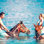 Swim with horses couple 2 MAU