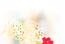 Thon mi-cuit sur son lit de purée de fève, wakame et sa vinaigrette au ponzu et sésame.