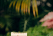 Quand le fruit mauricien devient douceur du quotidien