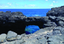 Vers un sentier du littoral mauricien