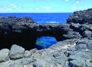 Vers un sentier du littoral mauricien