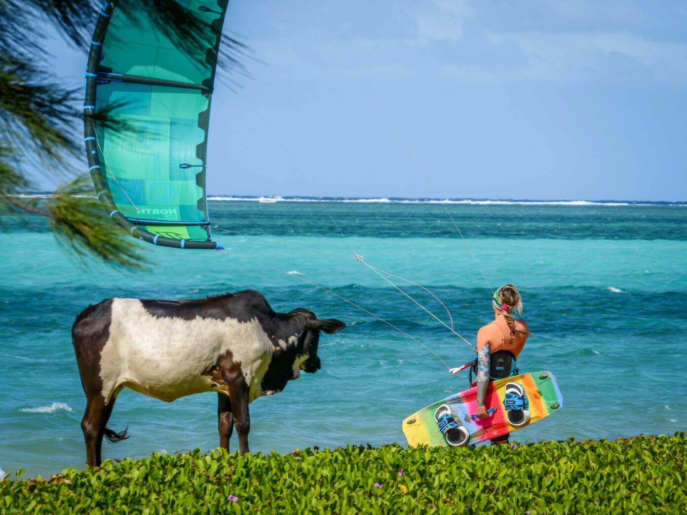 Le Bakwa Lodge à Rodrigues, hommage au luxe simple et épuré