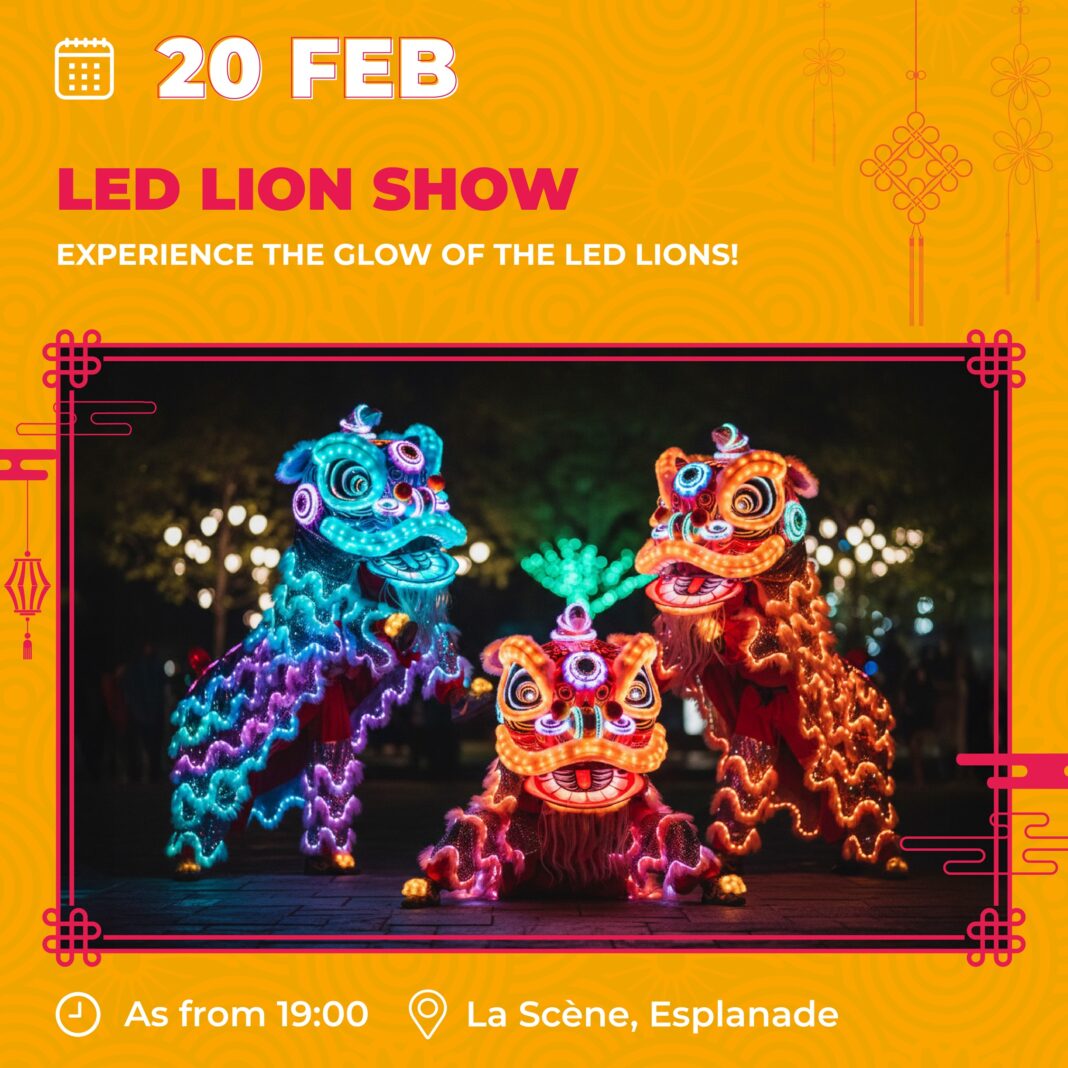 chinese new year (3)