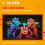 chinese new year (3)