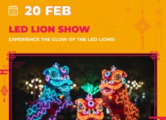 La Croisette célèbre le Nouvel An chinois !