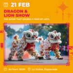 chinese new year (5)