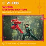 chinese new year (7)