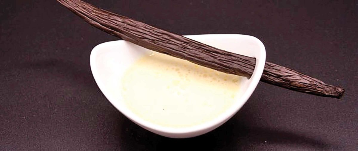 Base de crème anglaise à la vanille