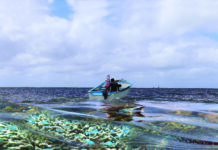 Ecology, while we wait for the indicators to turn green…