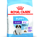 fiche-transfert-puppy-giant-puppy-1