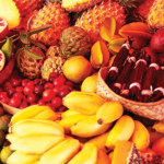 fruits12_-_credit_irt_-_louise_canovas_0