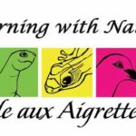 ile-aux-aigrettes-10