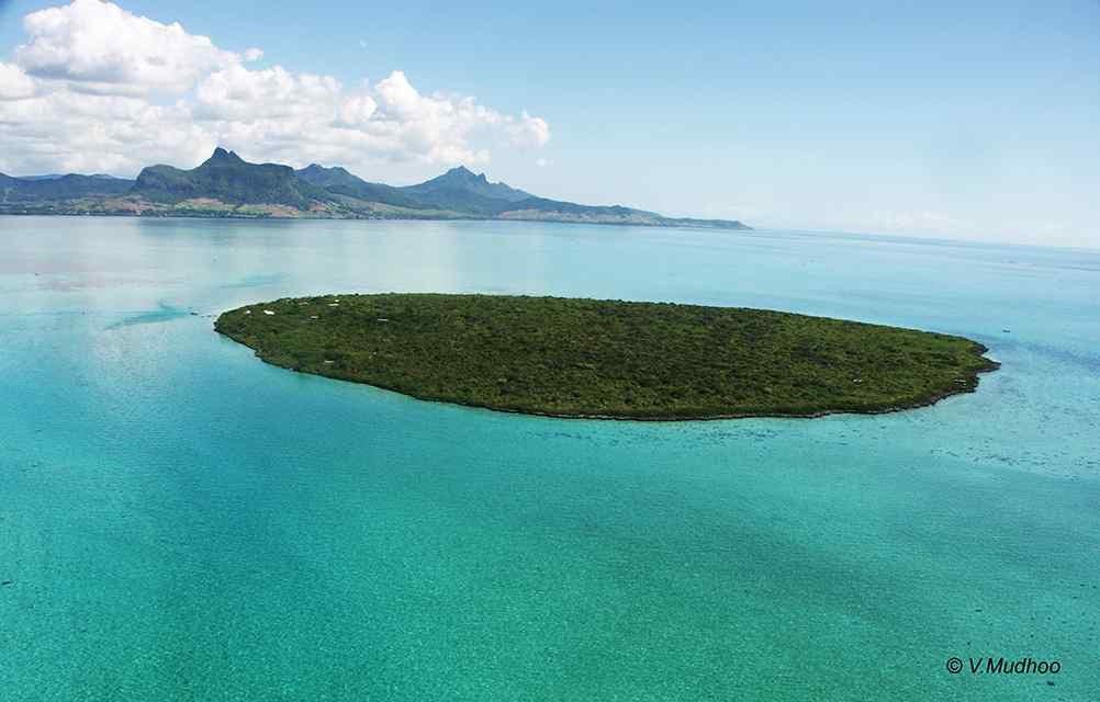 L’île aux Aigrettes