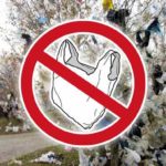 interdiction-des-sacs-plastiques-acheter-bio