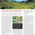 journal-2-avril-2020-33