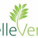 logo-belle-verte-Fine-lines-.jpeg-300×155