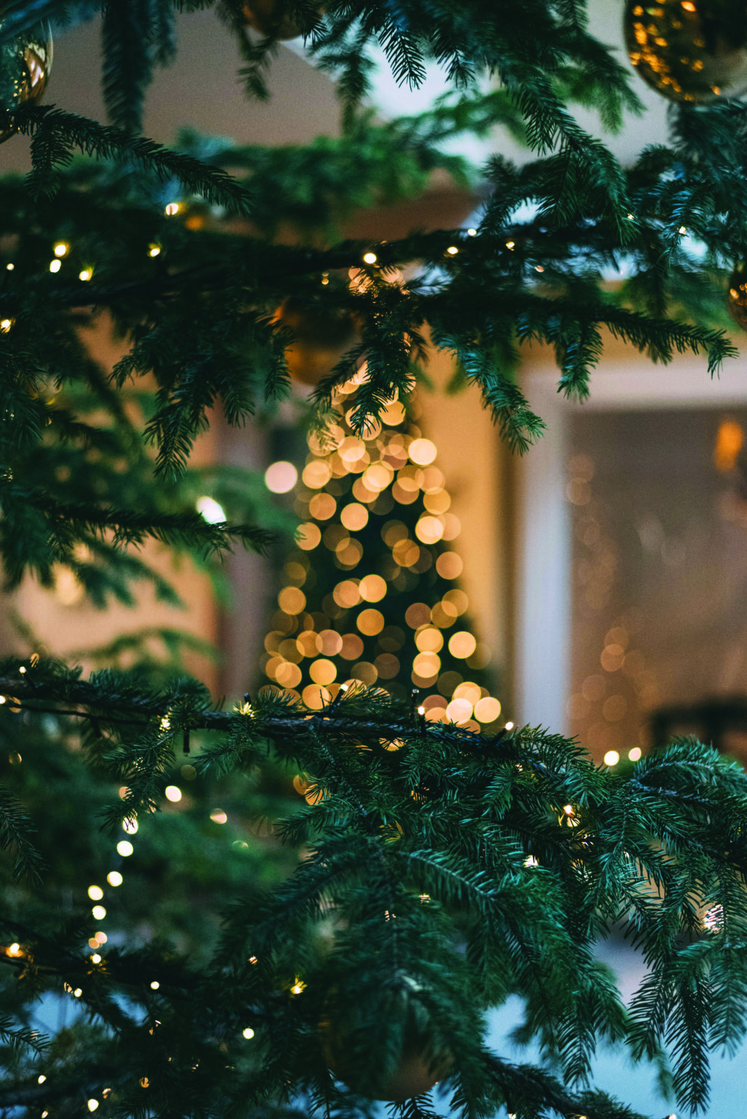 mourad-saadi-ZXbeOqF1NFQ-unsplash