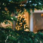 mourad-saadi-ZXbeOqF1NFQ-unsplash