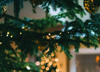 Bonjour, magie de Noël !