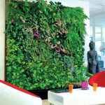 mur-vegetal-interieur-beau-quel-est-l-interat-d-un-mur-vegetal-interieur