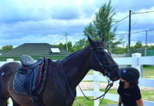 Jardin Endémique et Animalier du Cap,
revenir à l’essentiel