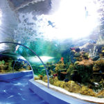 odysseo_aquarium_2