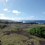 paysage-naturel-de-Maurice