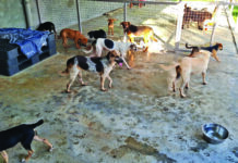 Combattre et soutenir au quotidien