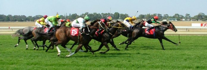 Hippisme à Maurice : un sport national