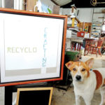 recyclo1